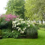 Natuurlijke tuin in ‘Fan van je Tuin’