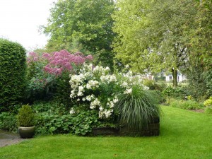voorbeeld bloeiende tuin