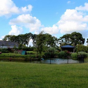 tuinvoorbeeld boerderijtuin
