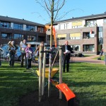 Koningslinde voor Berltsum