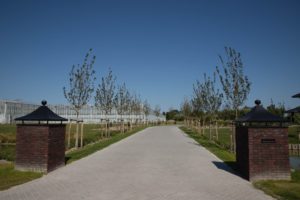 afbeelding bij statige villatuin