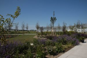 afbeelding bij landschappelijke villatuin