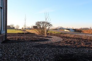 afbeelding bij tuinrenovatie bildtse boerderij