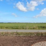 weidse bildtse landschap