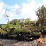 tuin bij bildtse boerderij
