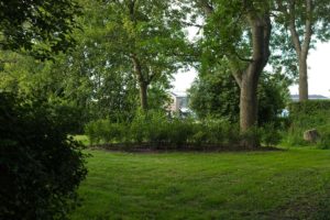 ronde vormen in natuurlijke tuin