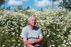 Hovenier gezocht? Dit is Geert, sinds mensenheugenis allround hovenier bij hovenier Van Tuinen Tuinservice