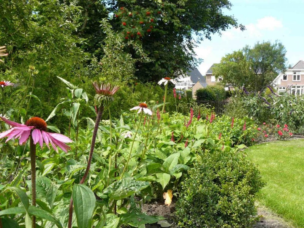 bloementuin het hele jaar door genieten van de tuin