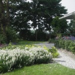 boerderijtuin
