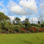 boerderijtuin