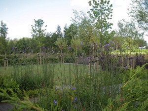 mooie tuinen starten met tuinontwerp