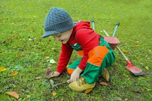 hovenier gezocht, je vindt hem bij hovenier Van Tuinen Tuinservice