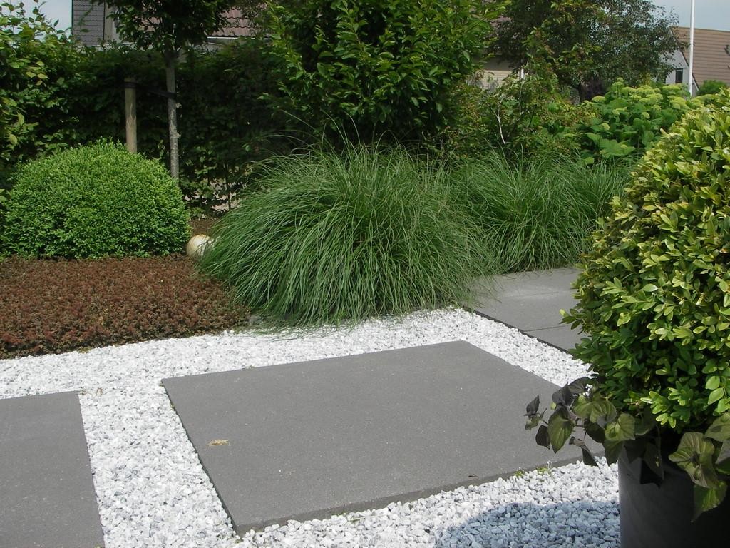 Moderne tuin met contrasten tussen materialen en beplanting