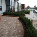 papierberk-taxus-lont1