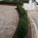 papierberk-taxus-lont2