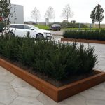 papierberk-taxus-lont4