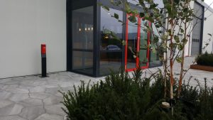 papierberk-taxus-lont