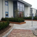 papierberk-taxus-lont7