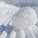 sneeuwbal