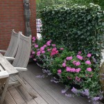 strak dakterras