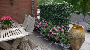strak dakterras